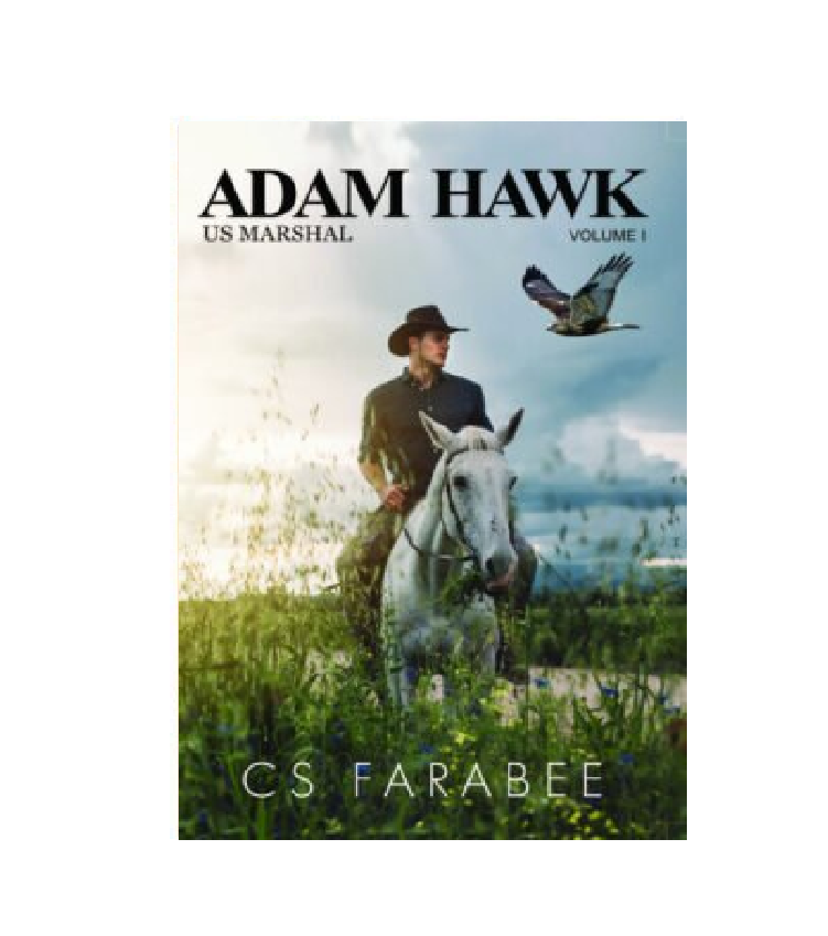 Adam Hawk US Marshal Volume 1 of 20 book series