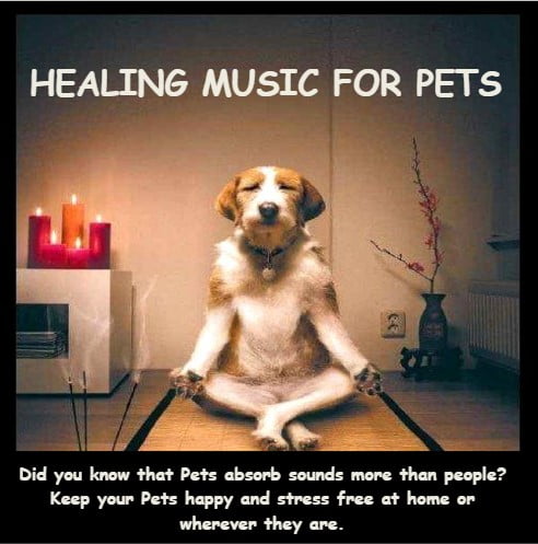 Music for Pets