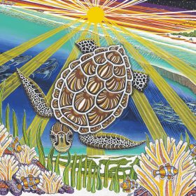 son rise lessons for a sea turtle named mama candela